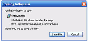 Save File Window